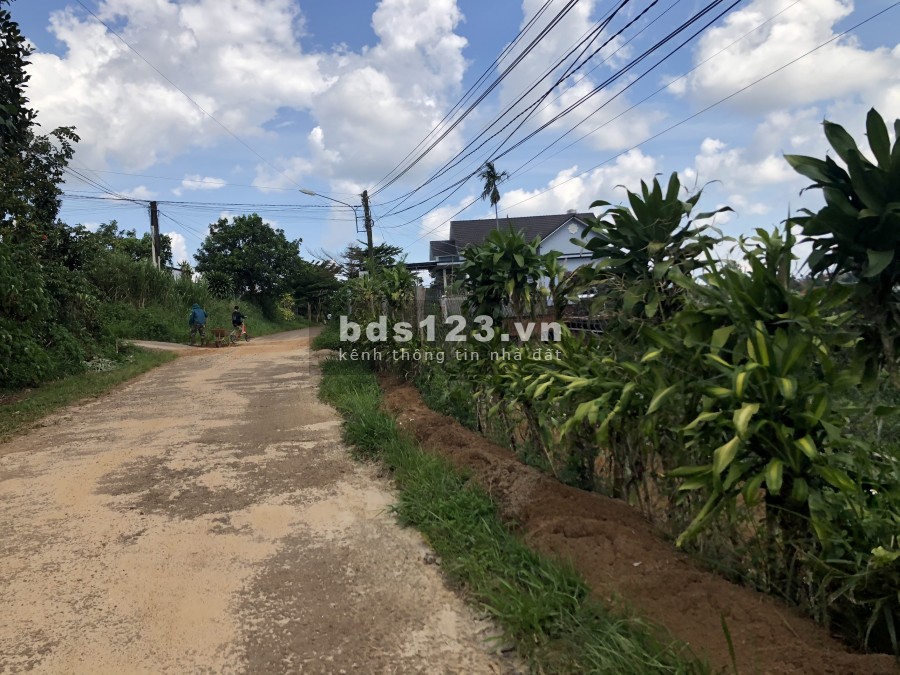 Đất mặt tiền Phó Đức Chính Xã ĐamB'ri cách trung tâm TP Bảo Lộc 3km, giá rẻ