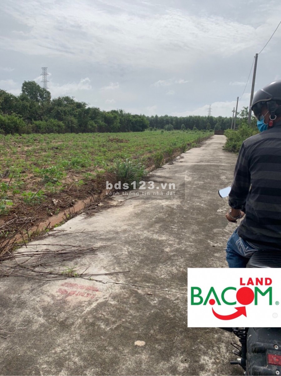 Bán lô đất 25*20 P. Tam Phước cách đường 60m tầm 500m giá chỉ 3ty050