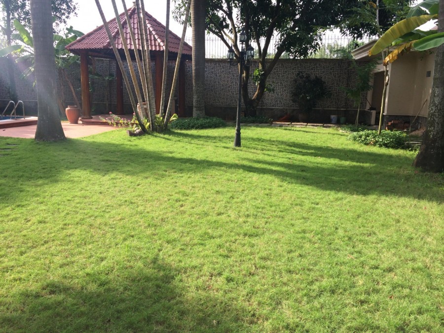 Cần bán biệt thự góc 2 mặt tiền có hồ bơi, nở hậu 26.09m, kiến trúc châu Âu