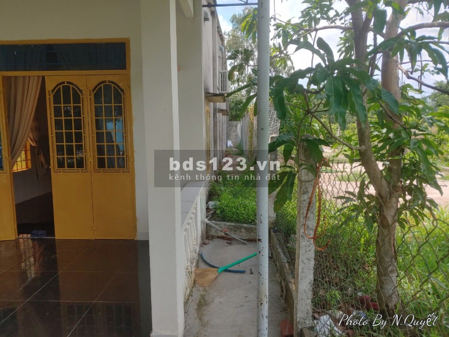 Ra nhanh lô đất 6x48 100m thổ cư xã Châu Pha, giá 1.65 tỷ