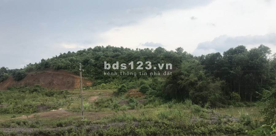 SỐC. 7 hecta mặt đường HCM, phẳng như sân bay. Giá chỉ nhỉnh 300k/m