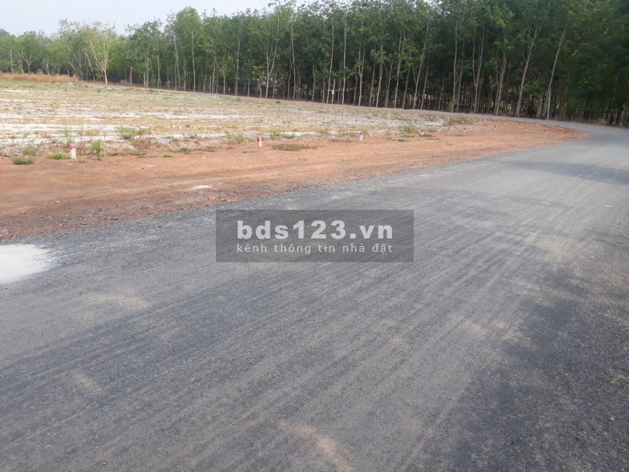 Bán rẻ 1 ha đất chính chủ ở Chơn Thành, sát mặt tiền Dt756, sổ hồng riêng 170 triệu/sào