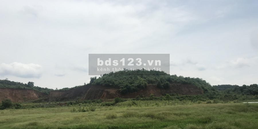 SỐC. 7 hecta mặt đường HCM, phẳng như sân bay. Giá chỉ nhỉnh 300k/m