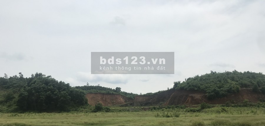 SỐC. 7 hecta mặt đường HCM, phẳng như sân bay. Giá chỉ nhỉnh 300k/m