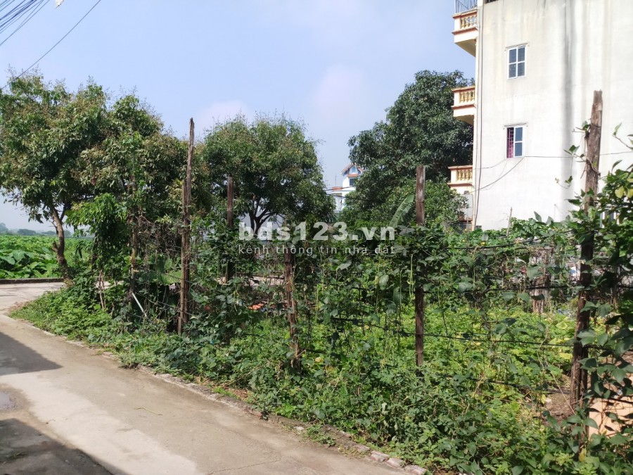Bán đất tái định cư Lạc Thị, ô tô vào nhà ngõ rộng ở sướng, dt 45m2, hơn 1 tỷ