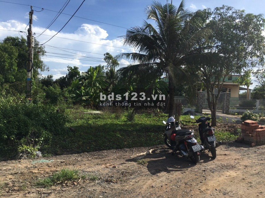 Ngộp.Bán Gấp 239m2 Thổ mt ĐT830 chỉ 5,6tr/m2 Hựu Thạnh sổ hồng riêng