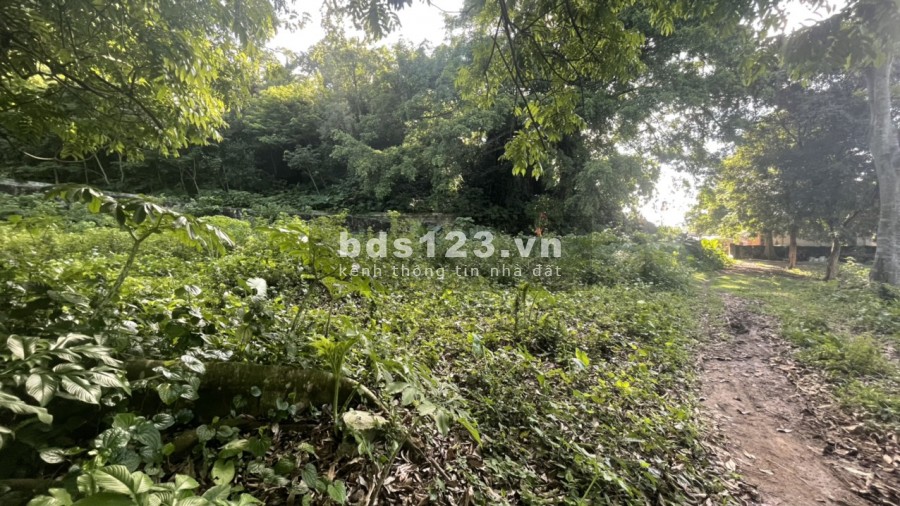 Lô đât đẹp 3832m 400m thổ cư Liên Sơn Lương Sơn, giá bán 900 nghìn/m2