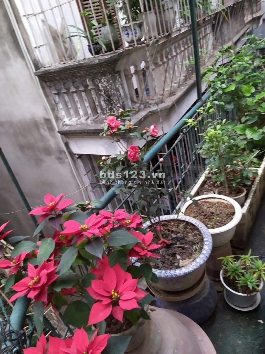 Bán nhà thanh lý nhanh ở Quận Hai Bà Trưng dt 43m2, 3 tầng bê tông, giá 3.8 tỷ