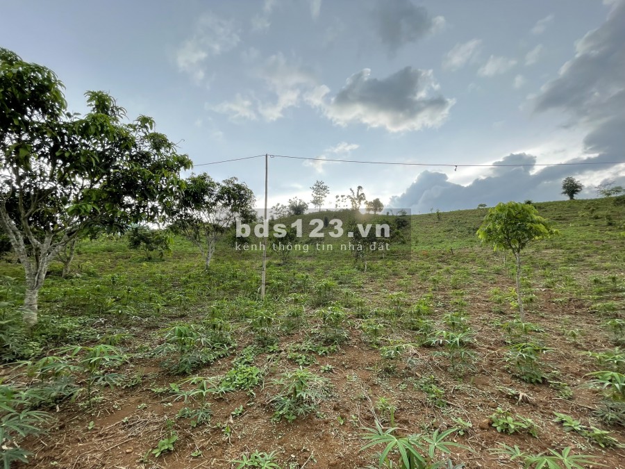 Bán mảnh đất Vân Hồ-Mộc Châu khoảng 1.8ha có 400 thổ cư giá chỉ vài trăm triệu
