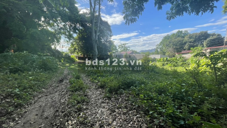 Lô đât đẹp 3832m 400m thổ cư Liên Sơn Lương Sơn, giá bán 900 nghìn/m2