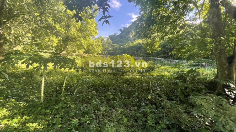 Lô đât đẹp 3832m 400m thổ cư Liên Sơn Lương Sơn, giá bán 900 nghìn/m2
