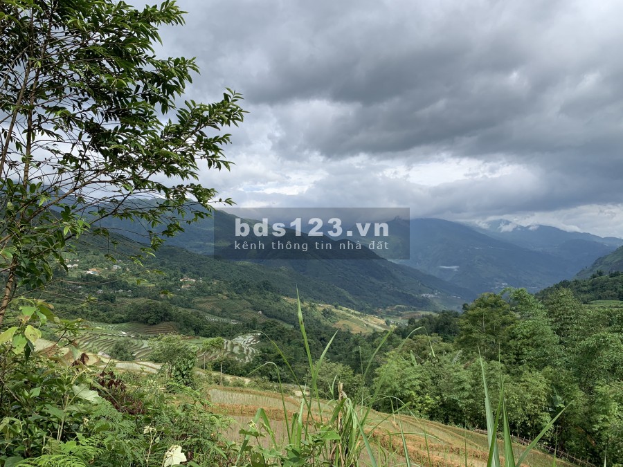 Khu đất nghỉ dưỡng Y Tý, dự án triển khai Sapa 2, giá thoả thuận chính chủ