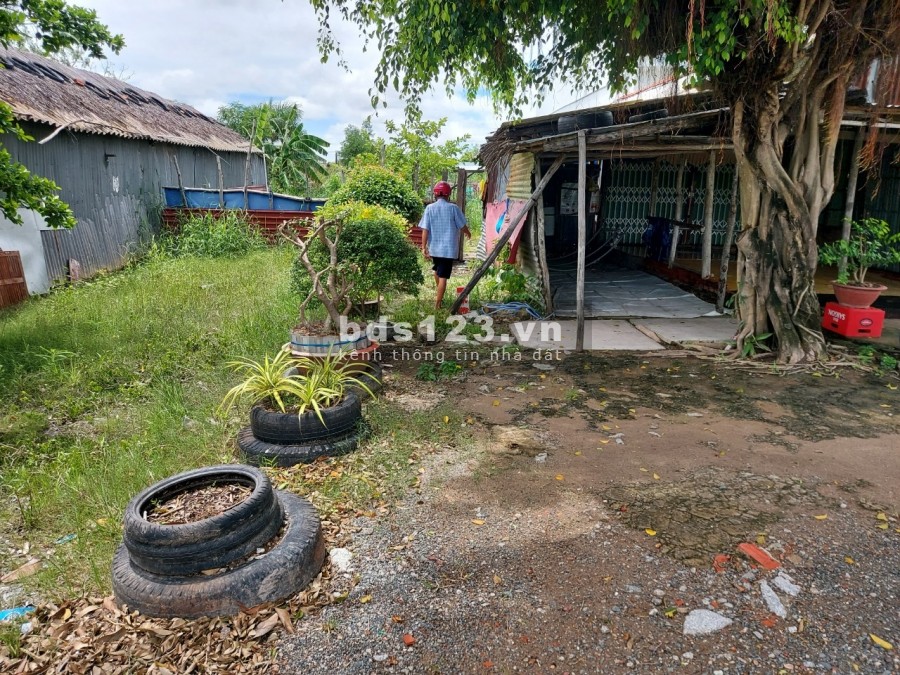 Cần chuyển nhượng gấp đất nền tại khóm 4, TT Đầm Dơi, huyện Đầm Dơi, tỉnh Cà Mau