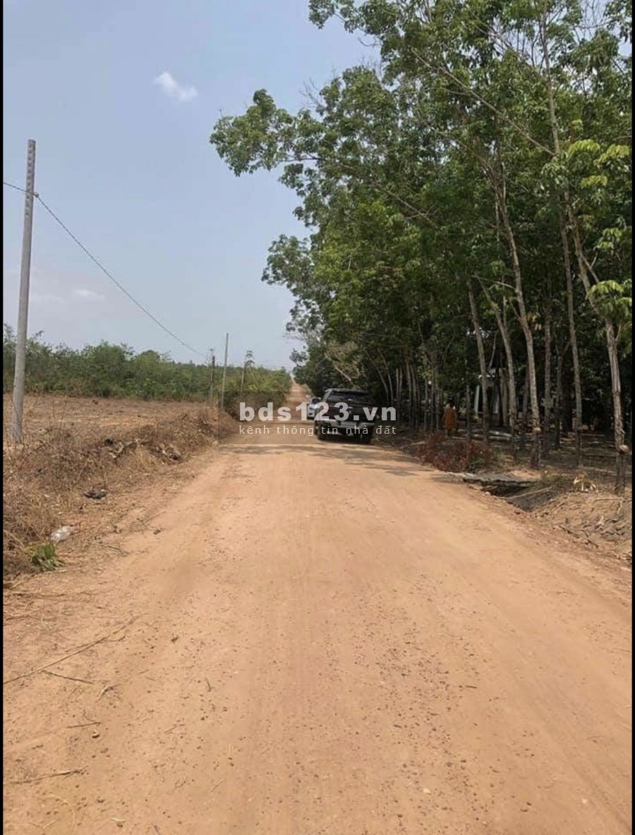 Hớn Quản- Bình Phước đất sổ sẵn 269tr tặng ngay 2 chỉ vàng 9999