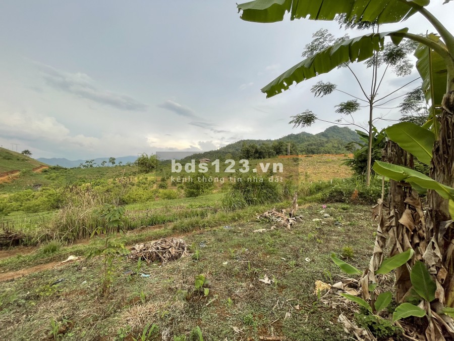 Bán mảnh đất Vân Hồ-Mộc Châu khoảng 1.8ha có 400 thổ cư giá chỉ vài trăm triệu