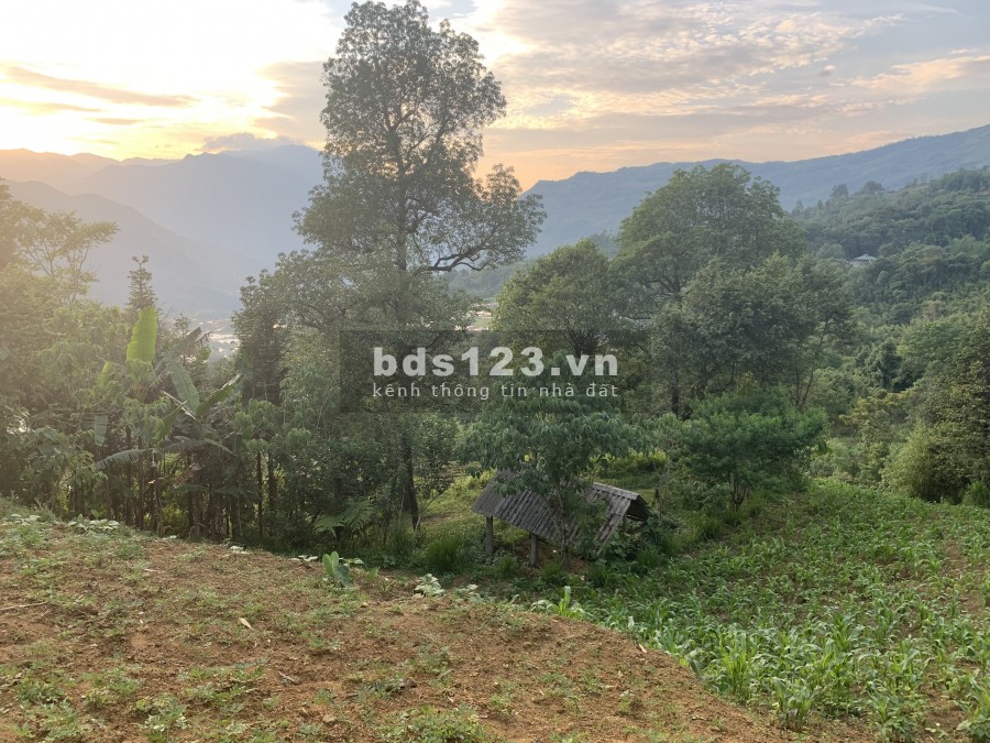 Khu đất nghỉ dưỡng Y Tý, dự án triển khai Sapa 2, giá thoả thuận chính chủ