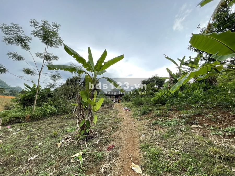 Bán mảnh đất Vân Hồ-Mộc Châu khoảng 1.8ha có 400 thổ cư giá chỉ vài trăm triệu