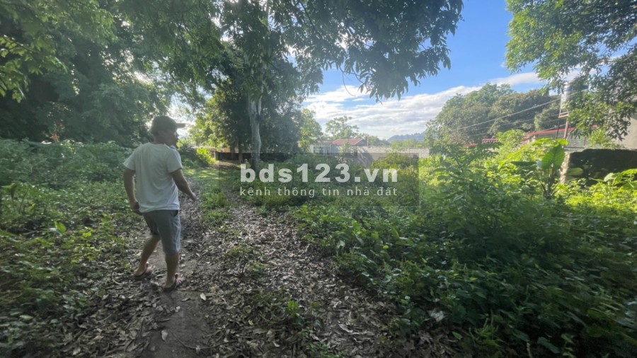 Lô đât đẹp 3832m 400m thổ cư Liên Sơn Lương Sơn, giá bán 900 nghìn/m2