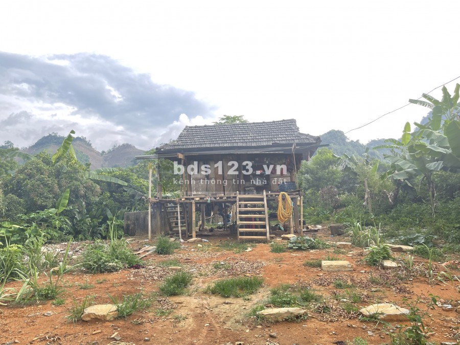 Bán mảnh đất Vân Hồ-Mộc Châu khoảng 1.8ha có 400 thổ cư giá chỉ vài trăm triệu