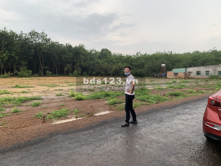 Bán đất dân phân lô tại xã Đồng Tâm, huyện Đồng Phú, tỉnh Bình Phước