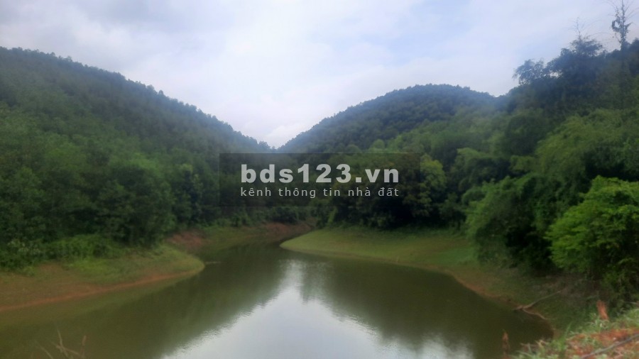 Hàng hiếm bám hồ gần Quốc Lộ 12, dt 64 ha, đất trung tâm Kim Bôi đẹp, giá 950 triệu/ha