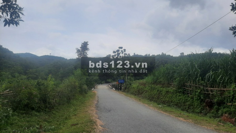 Hàng hiếm bám hồ gần Quốc Lộ 12, dt 64 ha, đất trung tâm Kim Bôi đẹp, giá 950 triệu/ha