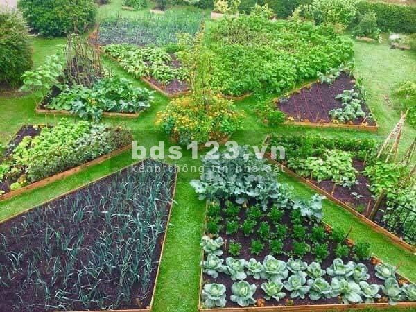 Bán đất nền tại trung tâm tp Bảo Lộc tỉnh Lâm Đồng giá 5tr/m2
