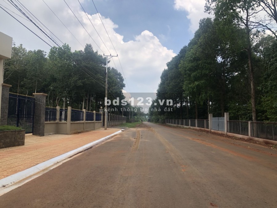 Đất nền Phú Mỹ Future ven hồ sinh thái, dt 130m2, thổ cư 60m2, giá cực tốt, giá chỉ 1.2 tỷ, ck 2%