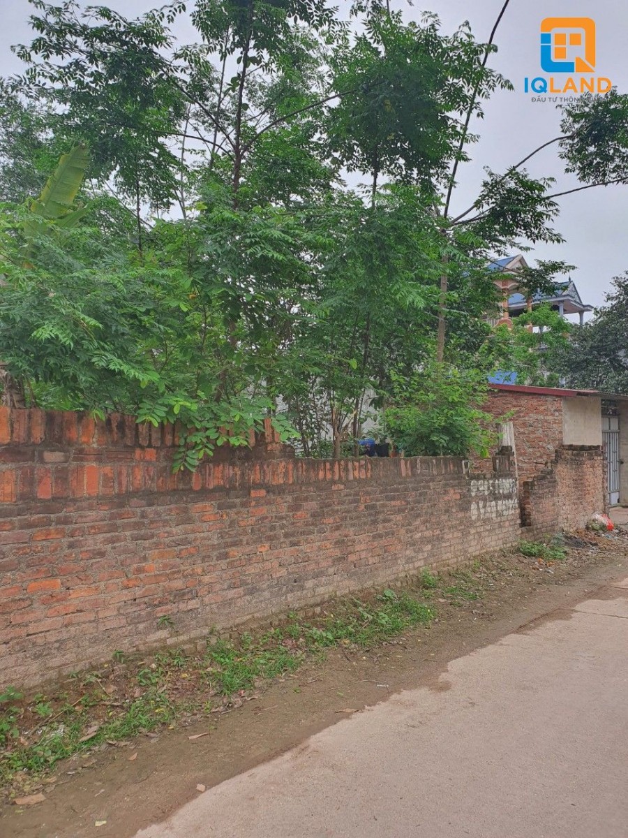 Mùa covid thanh lý lô 138m2 đường Thanh Trì thôn Cộng Hòa, xã Phù Ninh, Sóc Sơn