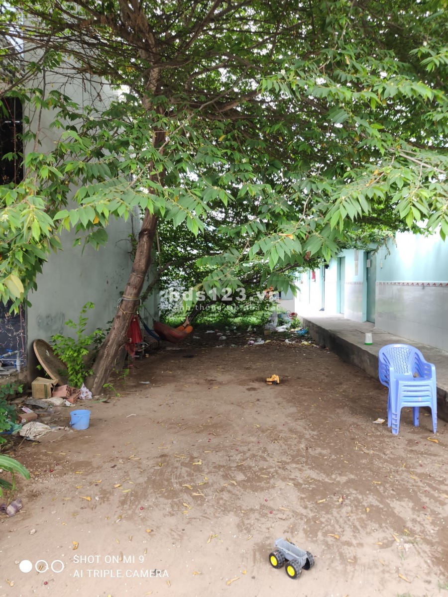 Đất Phạm Văn Hai huyện Bình Chánh cần bán, khu dân cư đông đúc