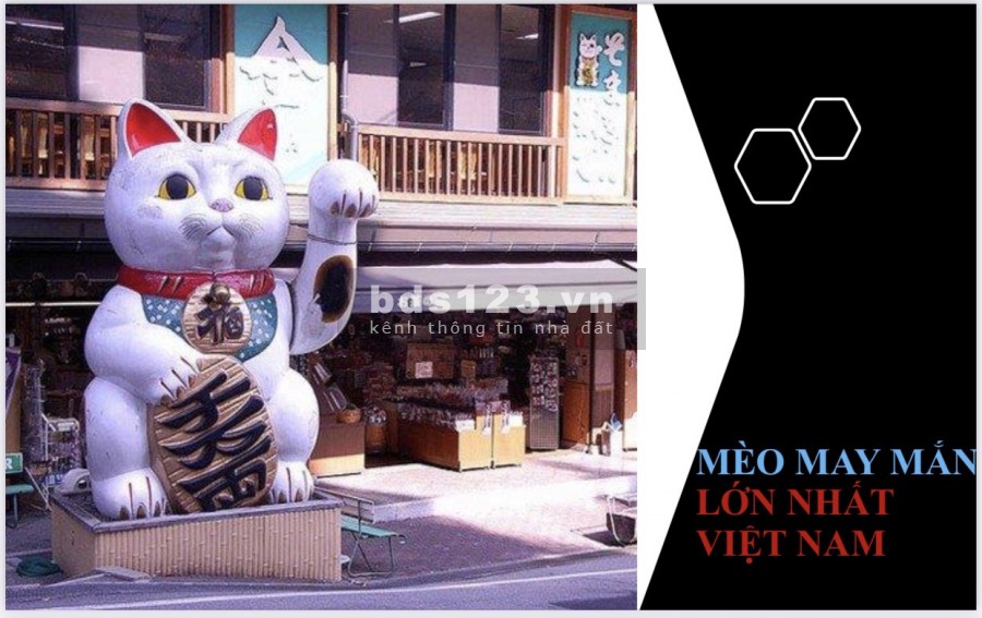 Căn hộ biển sở hữu vĩnh viễn Takashi Ocean Suite đậm phong cách Nhật Bản duy nhất tại Việt Nam