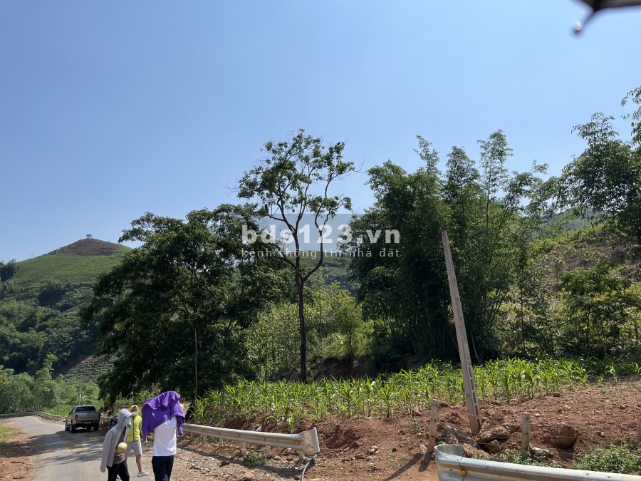 Cần bán nhanh ô đất tại Tân Hợp, Mộc Châu, Sơn La, giá bán 2 tỷ