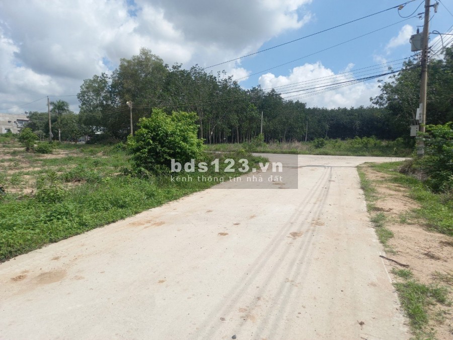 Bán nền đất biệt thư giá 3.6 tỷ, ngân hàng hỗ trợ vay lên đến 70% tài sản