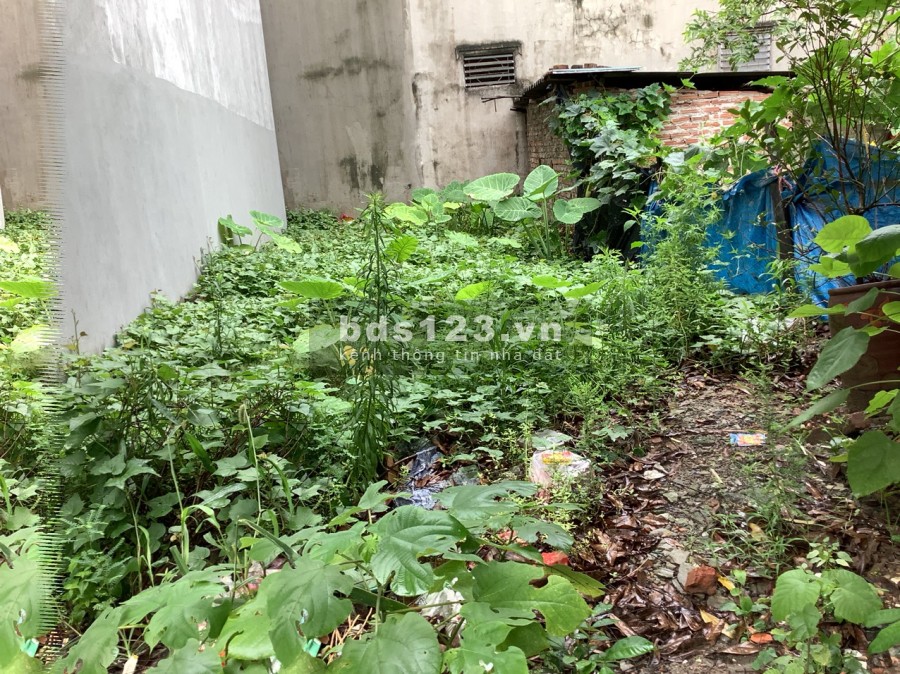 Chính chủ bán lô đất Phúc Lợi, dt 42m2, mt 3.8m, ngõ nông, gần ô tô ở sướng
