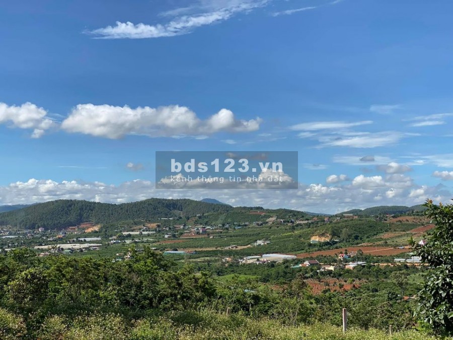 Đất ven tp Đà Lạt, view cực đẹp giá cực sốc chỉ với 800tr có ngay đất ở thị trấn
