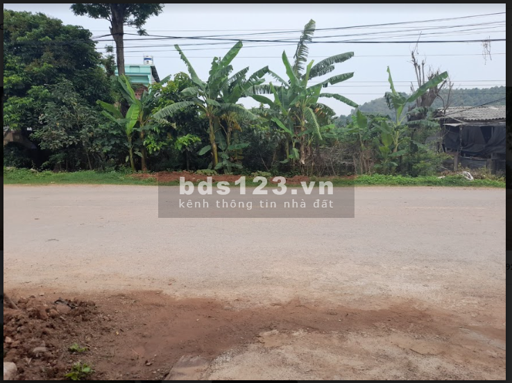 Bán nhanh mảnh đất cực hót tại mường sang mộc châu