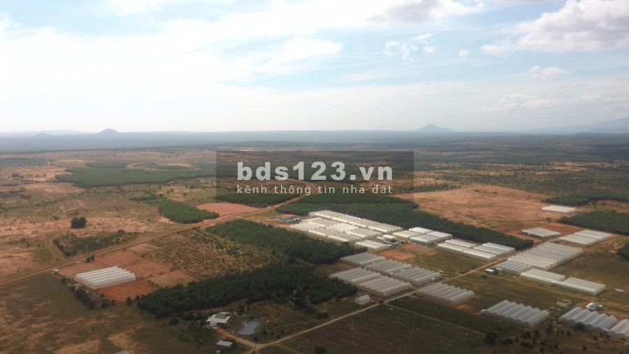 Cần tiền xoay sở mùa dịch bán gấp lô đất 10355m2 giá bán 931 triệu bao công chứng ngay