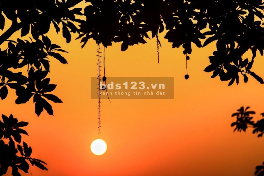 660 triệu sở hữu ngay căn hộ vị trí độc nhất Trung tâm hành chính Bình Chánh gí 37 triệu/m2