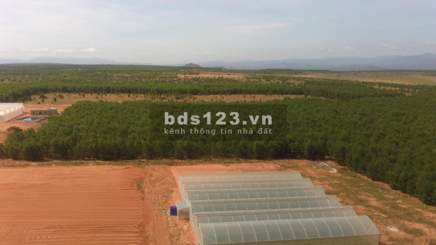 Cần tiền xoay sở mùa dịch bán gấp lô đất 10355m2 giá bán 931 triệu bao công chứng ngay