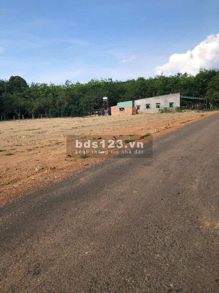 Bán lô đất giá đầu tư tại Đồng Tâm, tỉnh Bình Phước, giá bán 540 triệu