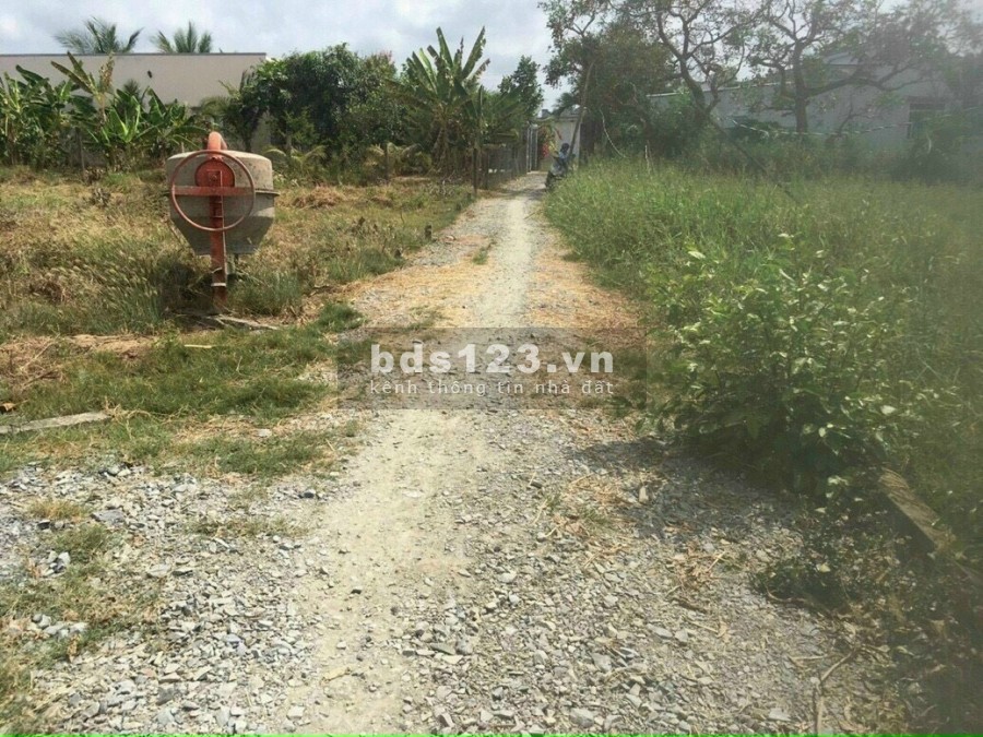 Đất nhà vườn, biệt thự Đức Huệ, Long An giá rẻ cho nhà đầu tư