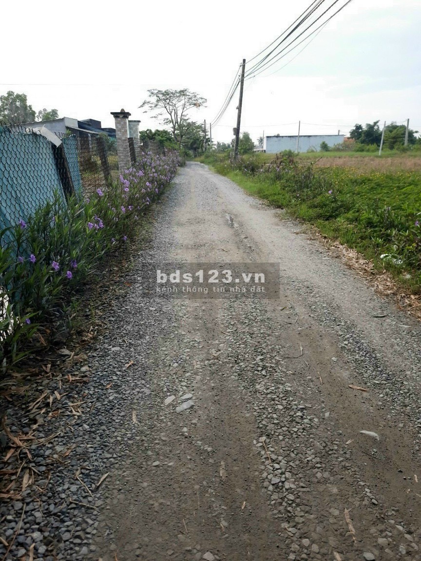 Đất nhà vườn, biệt thự Đức Huệ, Long An giá rẻ cho nhà đầu tư