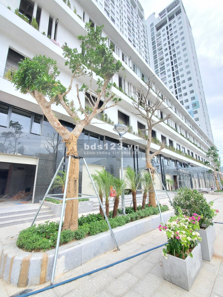Chung cư Quy Nhơn chung cư tập thể có sổ hồng giá chỉ từ 950 triệu