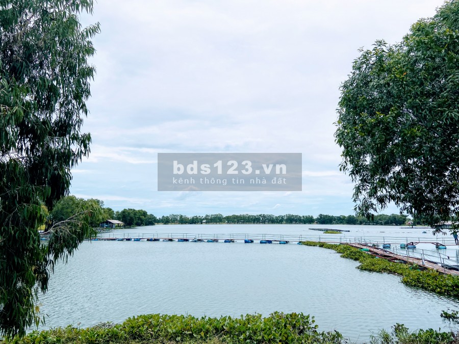 Đất Mỹ Hạnh Nam - Đức Hòa giá dưới 1 tỷ
