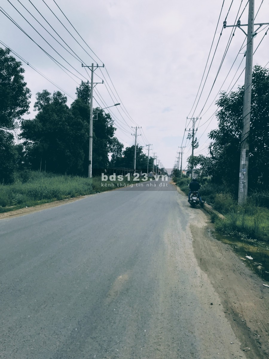 Đất Mỹ Hạnh Nam - Đức Hòa giá dưới 1 tỷ