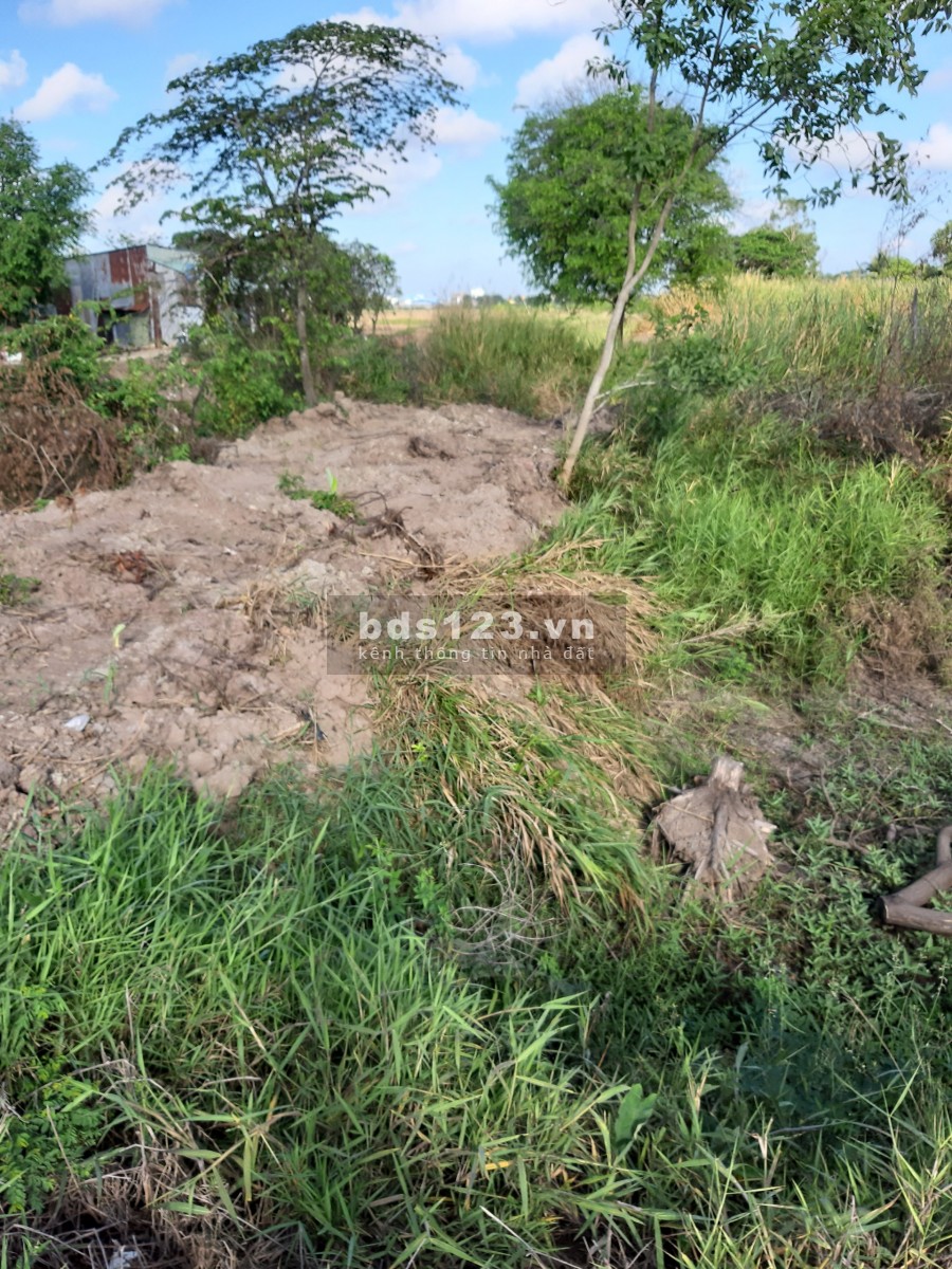 Bán đất nền xã lý văn lâm Cà Mau, đất có sổ đỏ, giá 150 triệu