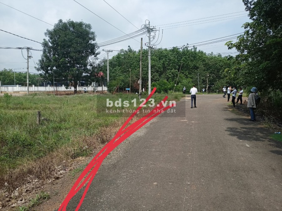Cần bán gấp 2 sào đất thuộc xã Tân Hưng huyện Đồng Phú cách ĐT 753 500m
