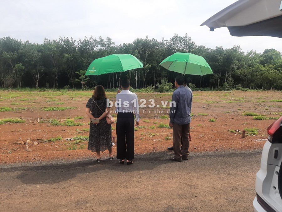 Đất có thổ cư, Đất sổ sẳn, Đường nhựa nhà nước 29m