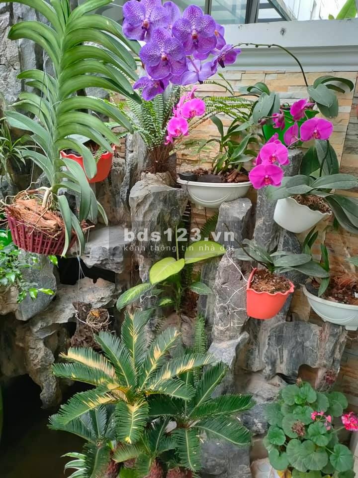 Bán nhà phố Bồ Đề 55m2 tặng nội thất, gần hồ ô tô vào nhà giá nhỉnh 4 tỷ