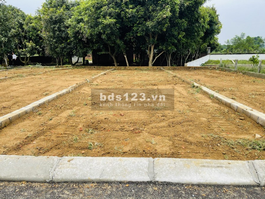 Cần Bán Gấp Lô Đất Tiềm Năng tại Hòa Lạc - Gần khu CNC Hòa Lạc - Giá Đầu Tư.